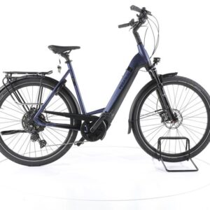 Pegasus Strong Evo 10 Lite Trekking E-Bike Tiefeinsteiger