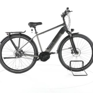 Raleigh Kent Premium City E-Bike