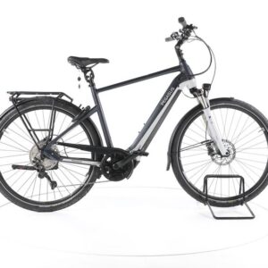 Pegasus Premio Evo 10 Lite Trekking E-Bike