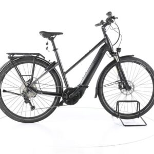 Pegasus Premio EVO 10 Lite Trekking E-Bike