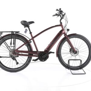 Electra Bicycle Townie Path Go! Trekking E-Bike