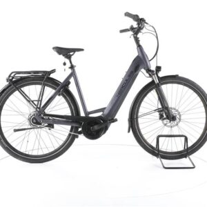 Hercules Robert/a I-R8 City E-Bike Tiefeinsteiger
