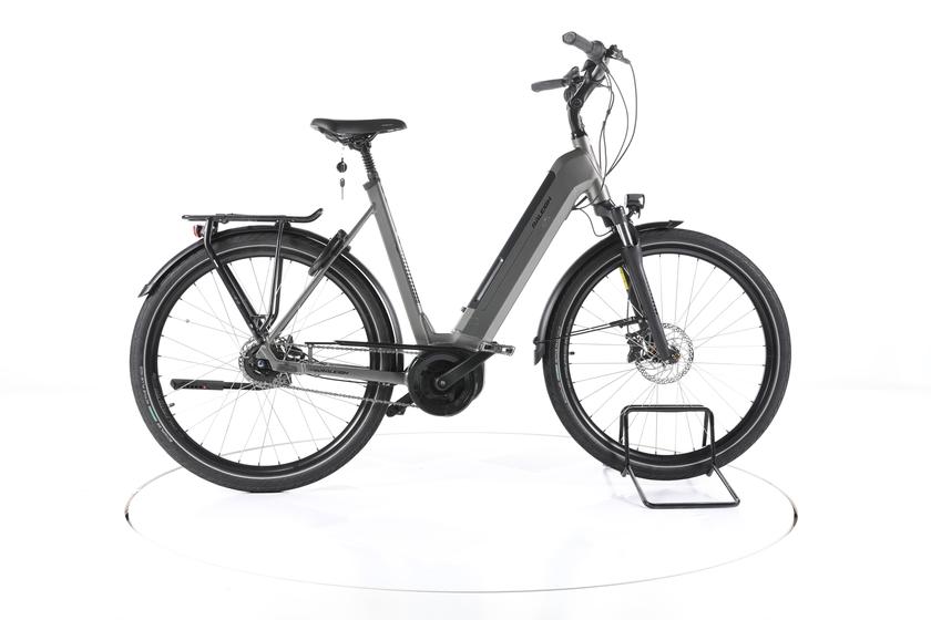 Raleigh Bristol XXL City E-Bike Tiefeinsteiger