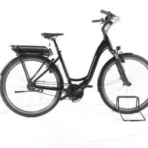 Riese & Müller Swing rücktritt City E-Bike Tiefeinsteiger