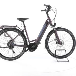 Pegasus Solero Evo 9 Trekking E-Bike Tiefeinsteiger