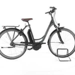 Raleigh Cardiff LB Plus Trekking E-Bike Tiefeinsteiger