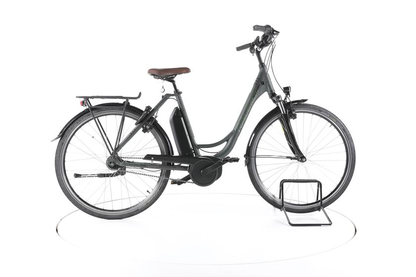 Raleigh Cardiff LB Plus Trekking E-Bike Tiefeinsteiger