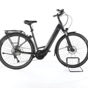 Pegasus Premio EVO 10 Lite Trekking E-Bike Tiefeinsteiger