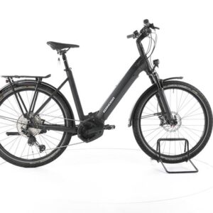 Winora Yucatan 12 Pro Trekking E-Bike Tiefeinsteiger