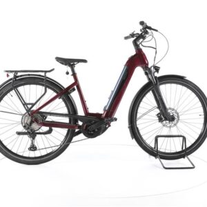 BESV TR 1.1 Trekking E-Bike Tiefeinsteiger