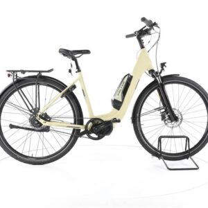 FALTER E 8.3 FL City E-Bike Tiefeinsteiger