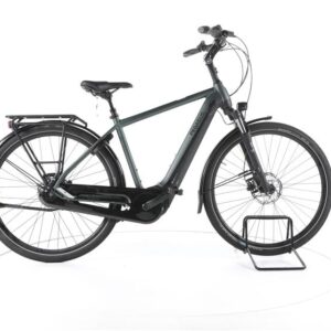 Pegasus Ravenna EVO 8F NL City E-Bike