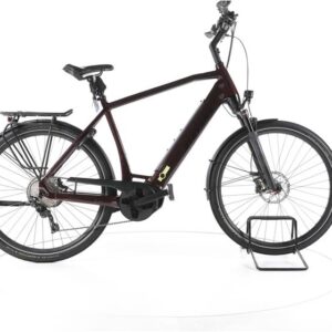 Stevens E-Triton PT6 Trekking E-Bike