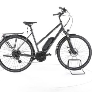 Triumph E-Bird Ultra Trekking E-Bike