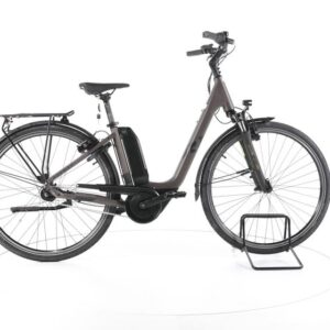 R Raymon Cityray E 2.0 City E-Bike Tiefeinsteiger