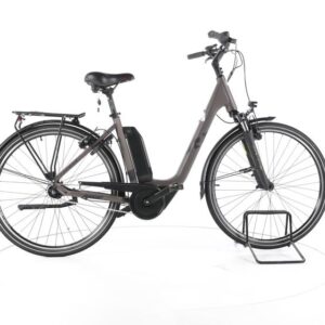 R Raymon Cityray 2.0 RH.M City E-Bike Tiefeinsteiger