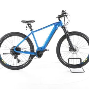 Axess Element 29 E-Bike