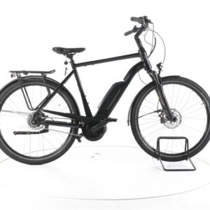 FALTER E 9.0 RT City E-Bike