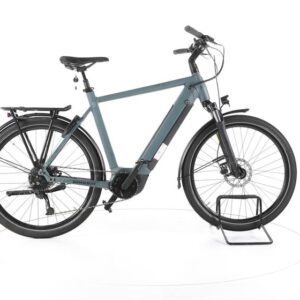 Winora Sinus 9 Trekking E-Bike
