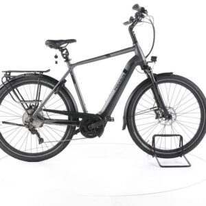 Pegasus Strong EVO 10 Trekking E-Bike