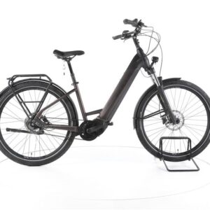 Bulls Iconic EVO City E-Bike Tiefeinsteiger 2023