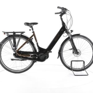 Breezer Bikes Powertrip Evo 3.1 City E-Bike Tiefeinsteiger
