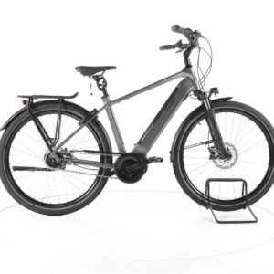 Raleigh Bristol XXL City E-Bike