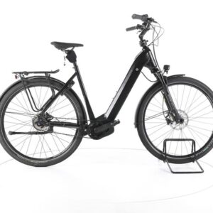 FALTER E 9.8 City E-Bike Tiefeinsteiger