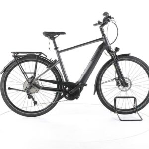 Pegasus Premio EVO 10 Lite Trekking E-Bike