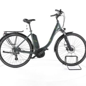 Triumph E Bird Plus Trekking E-Bike Tiefeinsteiger