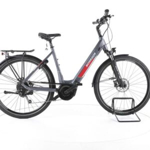 MORRISON E 7.0 Trekking E-Bike Tiefeinsteiger