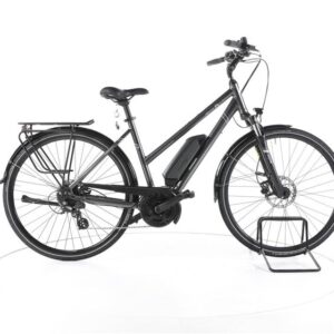 Triumph E Bird Ultra Trekking E-Bike