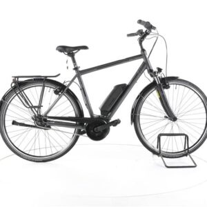 Triumph e-cloud Plus City E-Bike