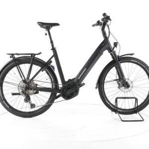 Winora Yucatan 12 Pro Trekking E-Bike Tiefeinsteiger