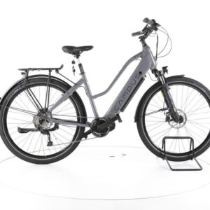 Campus BFM 18 Trekking E-Bike
