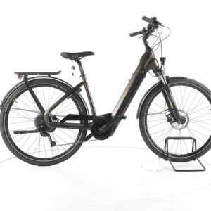 Centurion E-Fire City R760i Trekking E-Bike Tiefeinsteiger