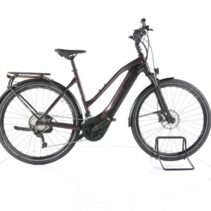 Giant Explore E+1 Pro STA Trekking E-Bike
