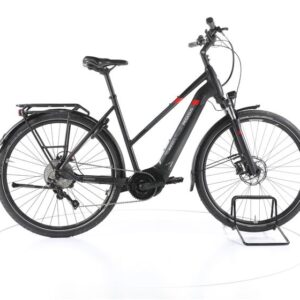 Pegasus Premio EVO 10 Trekking E-Bike