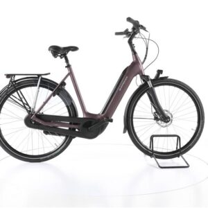 Batavus FINEZ City E-Bike Tiefeinsteiger