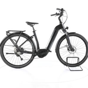 FLYER Gotour6 3.10 Trekking E-Bike Tiefeinsteiger