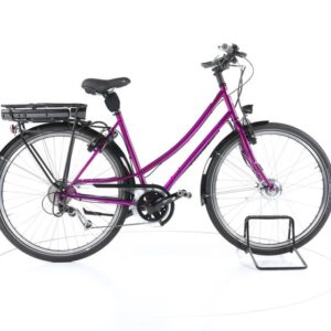 Böttcher Safari E Trekking E-Bike