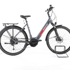 MORRISON E 7.0 Trekking E-Bike Tiefeinsteiger