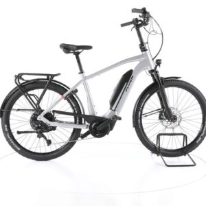 FLYER Upstreet3 7.10 Trekking E-Bike