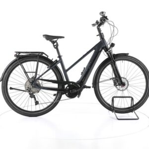Pegasus Premio Evo Comfort Trekking E-Bike