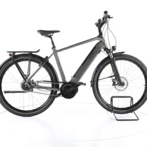 Raleigh Bristol XXL City E-Bike