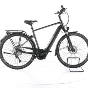 Pegasus Premio Evo 10 Lite Trekking E-Bike