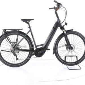 Pegasus Strong EVO 10 Trekking E-Bike Tiefeinsteiger