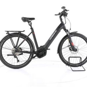 Haibike Trekking 6 Trekking E-Bike Tiefeinsteiger