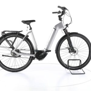 FLYER Gotour6 7.43 Trekking E-Bike Tiefeinsteiger