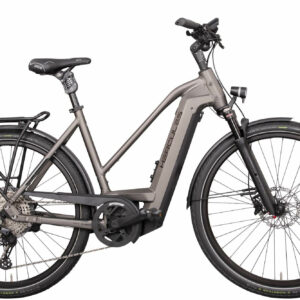Hercules FUTURA MAX I-12 silber-matt 28" 750 Wh Trapez